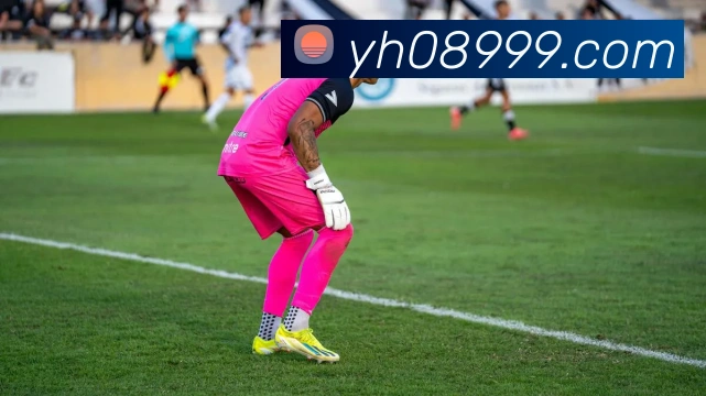 银河娱乐官网入口平台生态图